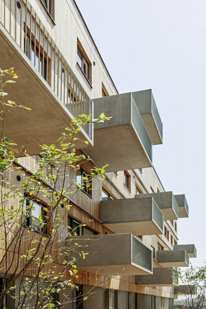 Жилой комплекс «Деревянные дома» как часть грандиозного проекта городского развития Aspern Seestadt