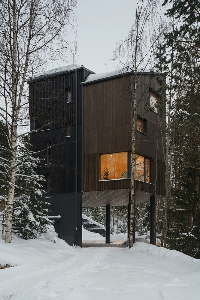 Каркасный дом с темными деревянными фасадами в лесном ландшафте