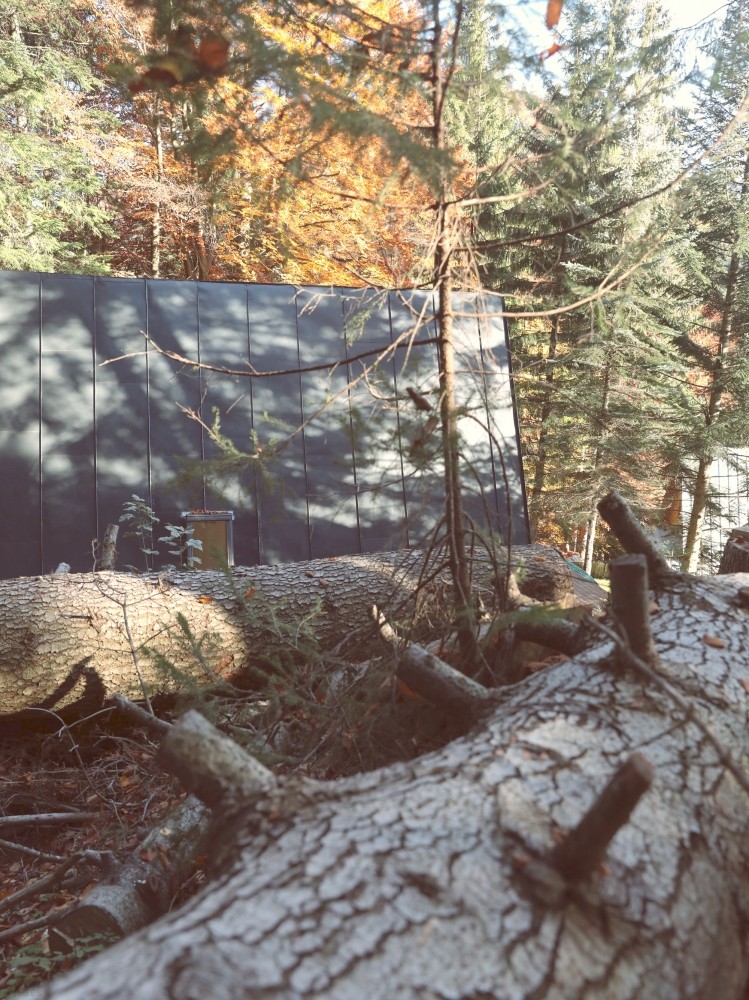 Деревянное шале с деревенским шармом на живописном лесном склоне