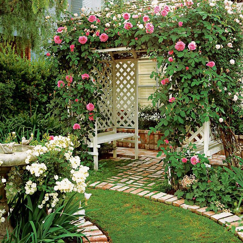 Выращиваем цветы на даче для оазиса наслаждения