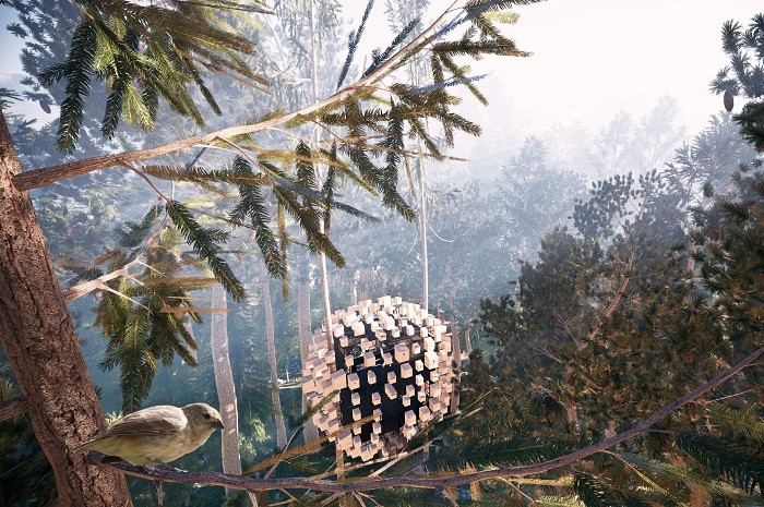 Причудливый домик на дереве, окруженный 350 скворечниками и пением крылатых