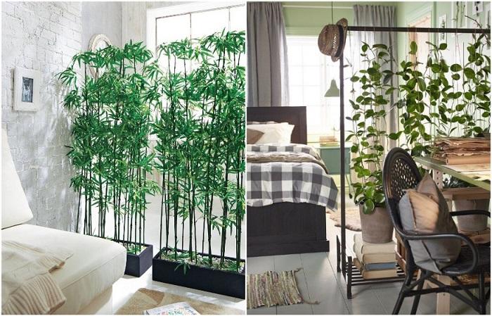 Добавьте в квартиру растений: 6 трендов в озеленении, которые сейчас популярны