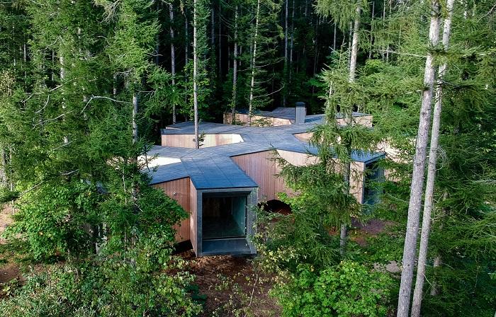Загородный дом-«ветка», исчезающий в живописном ландшафте первозданного леса
