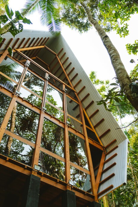 «Дом-обезьян» в джунглях Бразилии: реализованная мечта архитектора 