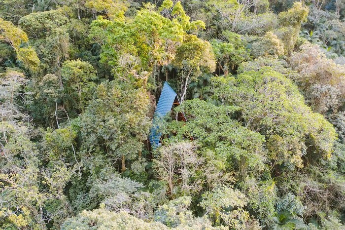 «Дом-обезьян» в джунглях Бразилии: реализованная мечта архитектора 